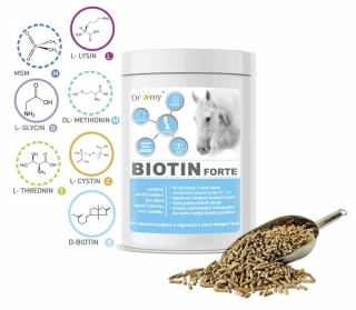 Dromy Biotin forte 750 g